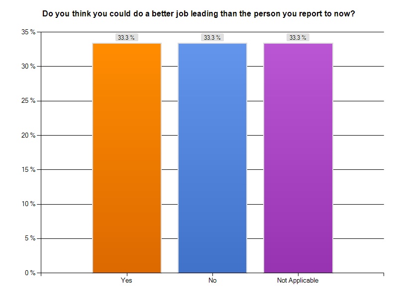 Leadership Perception Survey Results, Part 2